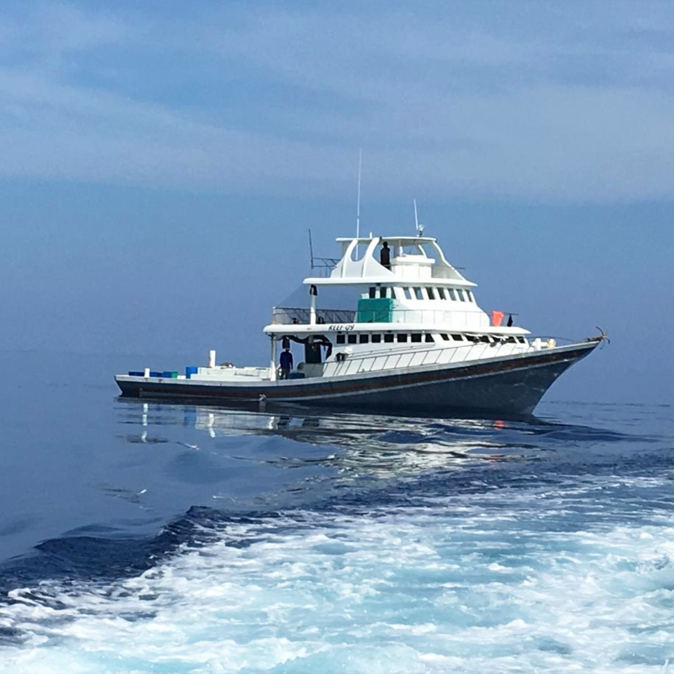 BigFatTuna-Fishing-traditional-pole-line-fishing-livebait-fishing-maldives