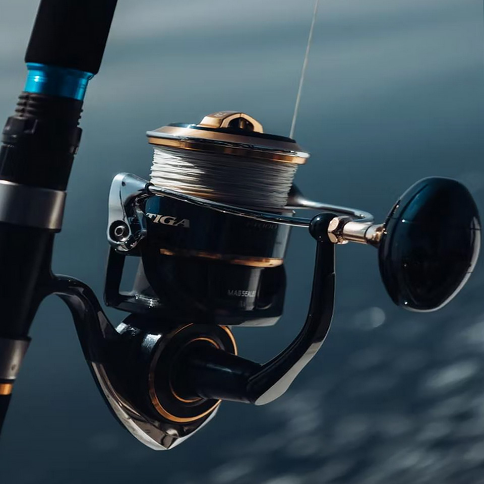 Art Gallery & Products